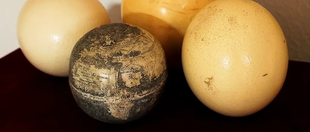 Cea mai veche hartă a Lumii Noi - încrustată pe cojile a două ouă de struț