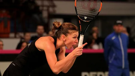 Un expert mondial, analiză dură a Simonei Halep: 