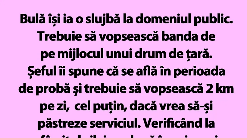 BANC | Bulă își ia o slujbă la domeniul public