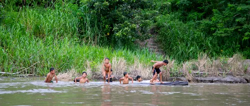 Lecția pe care o dau populațiile indigene din Amazon lumii întregi: Cum au reușit să conserve pădurile timp de sute de ani