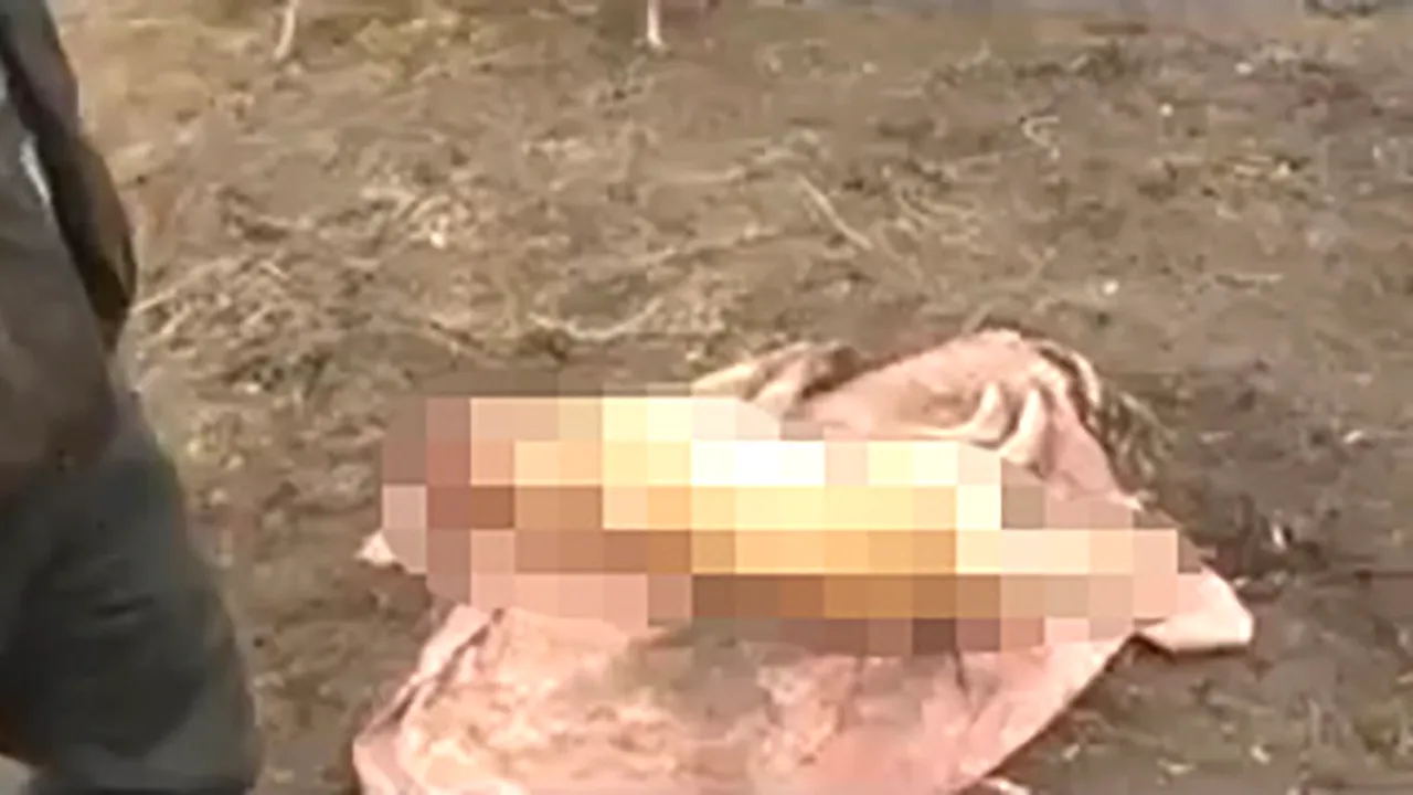 Imagini îngrozitoare din Vaslui: Un câine a fost spânzurat, iar urechile i-au fost tăiate. Reacția unui polițist: Ce atâta tam-tam pentru o javră? VIDEO