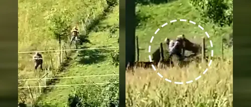 VIDEO | Vânător, atacat de un urs în timp ce încerca să îl elibereze dintr-un gard. Animalul a fost împușcat de un coleg al bărbatului