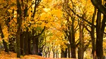 ANM anunță o lună septembrie cu temperaturi neașteptate. Cum va fi vremea în următoarele patru săptămâni