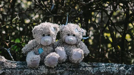 O fetiță de 5 ani a fost agresată sexual de un pedofil, într-un parc din Tecuci. Mama ei se afla la câțiva pași. Poliția îl caută pe agresorul identificat