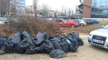 Marcel Ciolacu o MITRALIAZĂ pe Clotilde Armand: „Noaptea, Sectorul 1 e patria șobolanilor”