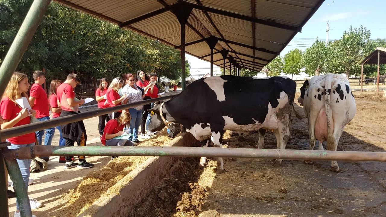 Studiu. O treime dintre absolvenții de licee agricole intenționează să-și continue studiile la facultate. Câți vor o afacere proprie