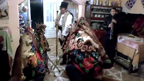 TRADIȚIE din moși-strămoși. BUNICII din Salva îi învață pe nepoți SECRETELE pregătirii CAPREI pentru colinda de Crăciun