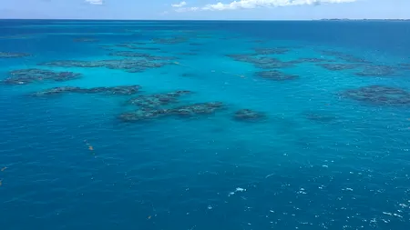 UE, cu „ochii” pe oceanele lumii. Ce este proiectul OceanEye, lansat de Comisia Europeană