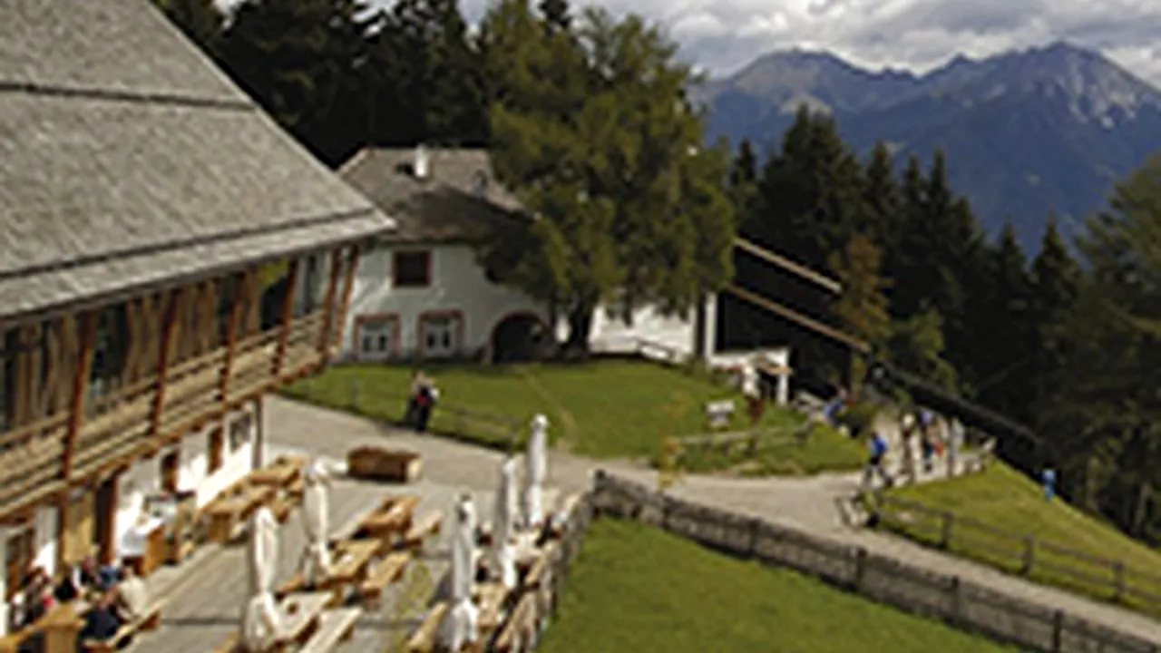 Ce spuneți de o ieșire la iarbă verde?