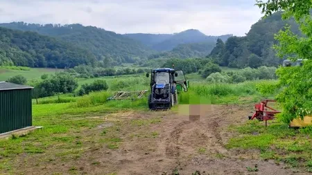 Un bărbat de 34 de ani a fost ucis de urs, în județul Sibiu. Reacția autorităților