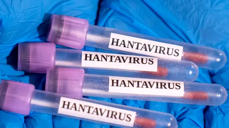 OMS încearcă să calmeze temerile după „isteria hantavirus”
