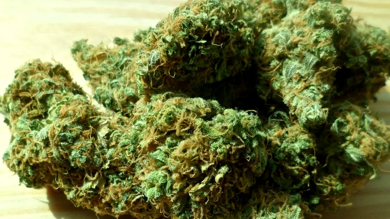 Patru persoane au fost reținute, după ce ar fi adus Cannabis din Spania și l-ar fi vândut ulterior în România - FOTO 