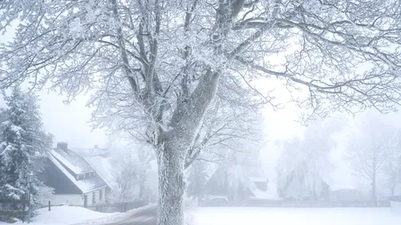 Ce s-a întâmplat cu iernile bunicilor noștri?