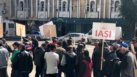Mitingul PSD de la Iași. Dăncilă: Nu e adevărat că nu am fost invitată/ Dragnea: Suntem cel mai mare partid din România și de aceea umblă pe aici unii derbedei. Iohannis vrea conflicte de stradă - FOTO, VIDEO