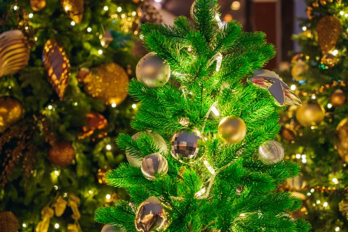 foto ilustrativa: sursa foto: Envato