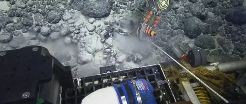 Descoperire extraordinară făcută de un ROVER care explora, la 3.000 de metri adâncime, un munte subacvatic