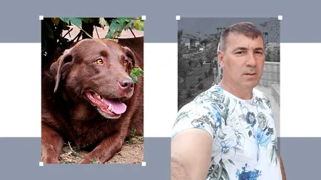 Caz rar în România. Un hunedorean a fost CONDAMNAT la închisoare pentru că a agresat sexual o femelă labrador