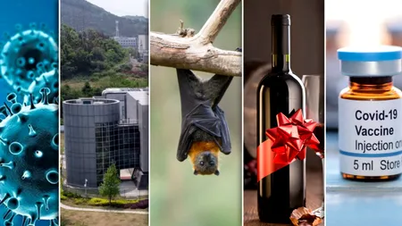 Un om de știință, acuzat că ar fi mușamalizat că virusul COVID-19 a scăpat din laboratorul din Wuhan după ce a primit cadou două sticle de vin