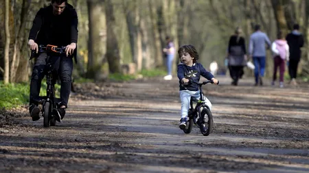 Romsilva contrazice raportul Corpului de Control al Ministerului Mediului: 