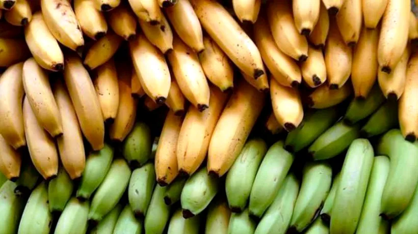DIETĂ EXTREMĂ. Cum arată tânăra care mănâncă 51 de banane în fiecare zi