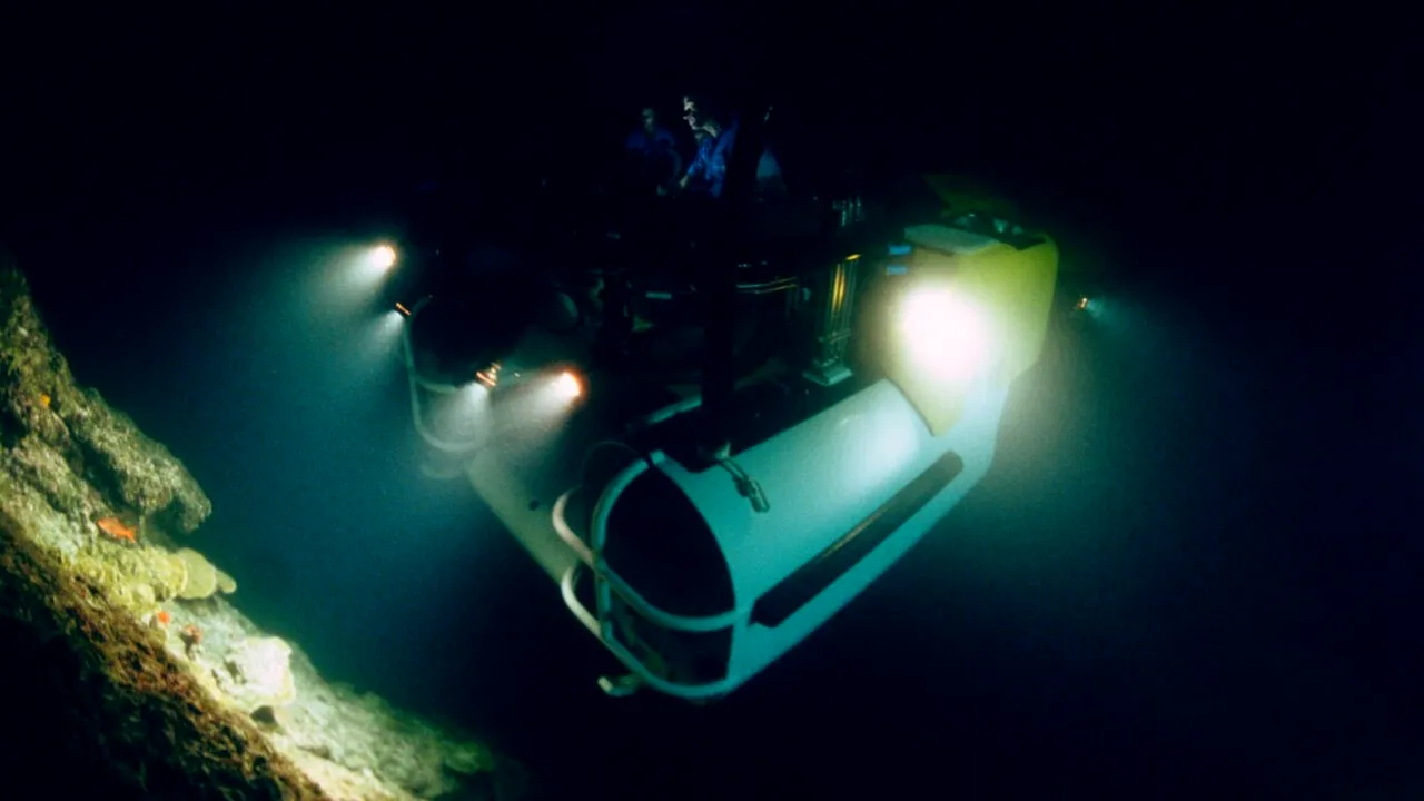 Patru ouă negre au ieșit la suprafață din inima întunecată a oceanului. Au creaturi „extraterestre” înăuntru