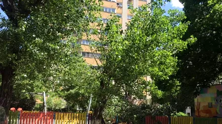 VIJELIE ÎN CAPITALĂ. Femeie rănită de un copac doborât de vânt, în sectorul 4