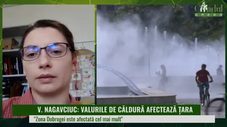 GÂNDUL GREEN | Betonul, asfaltul și poluarea încălzesc și mai rău orașele. Ce este insula de căldură? (VIDEO)