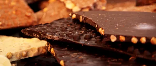 Cea mai mare fabrică de ciocolată din lume se confruntă cu un focar de salmonella. Producția a fost oprită