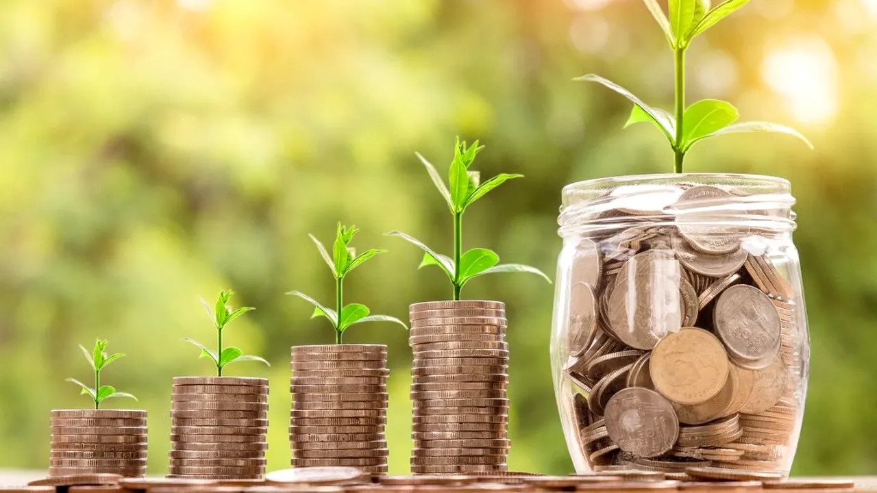 BANI PENTRU FERMIERI. Decizia Comisiei Europene care majorează fluxul de lichidități al producătorilor agricoli
