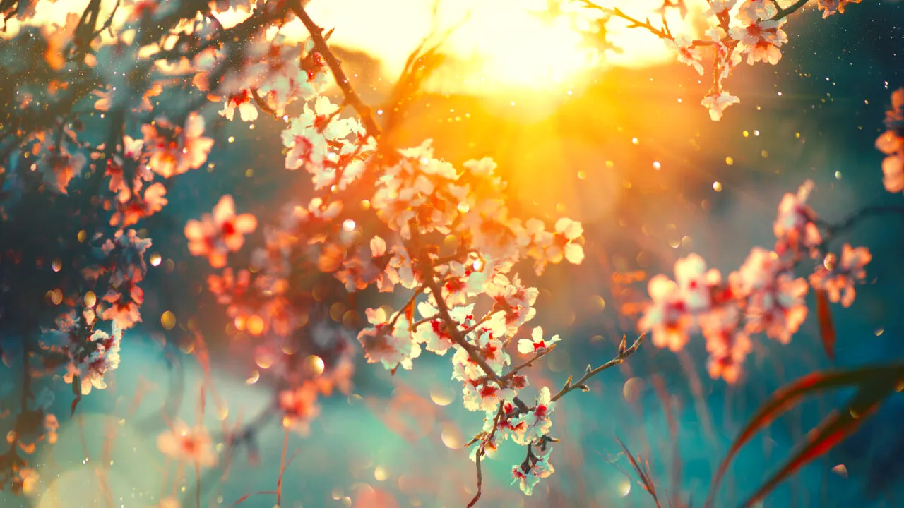 ANM, prognoza până la 21 octombrie 2024. Meteorologii anunță termperaturi mai ridicate decât cele normale