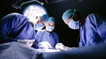 Premieră în medicină: un om a primit trei organe de porc. Ce s-a întâmplat după 36 de ore de la transplant