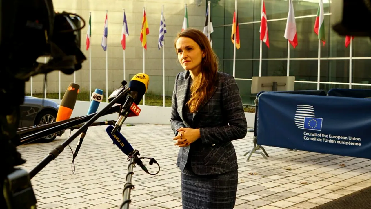 Reacția Oanei Țoiu după ce a fost acuzată că a semnat pentru limitarea dreptului de veto al României în UE
