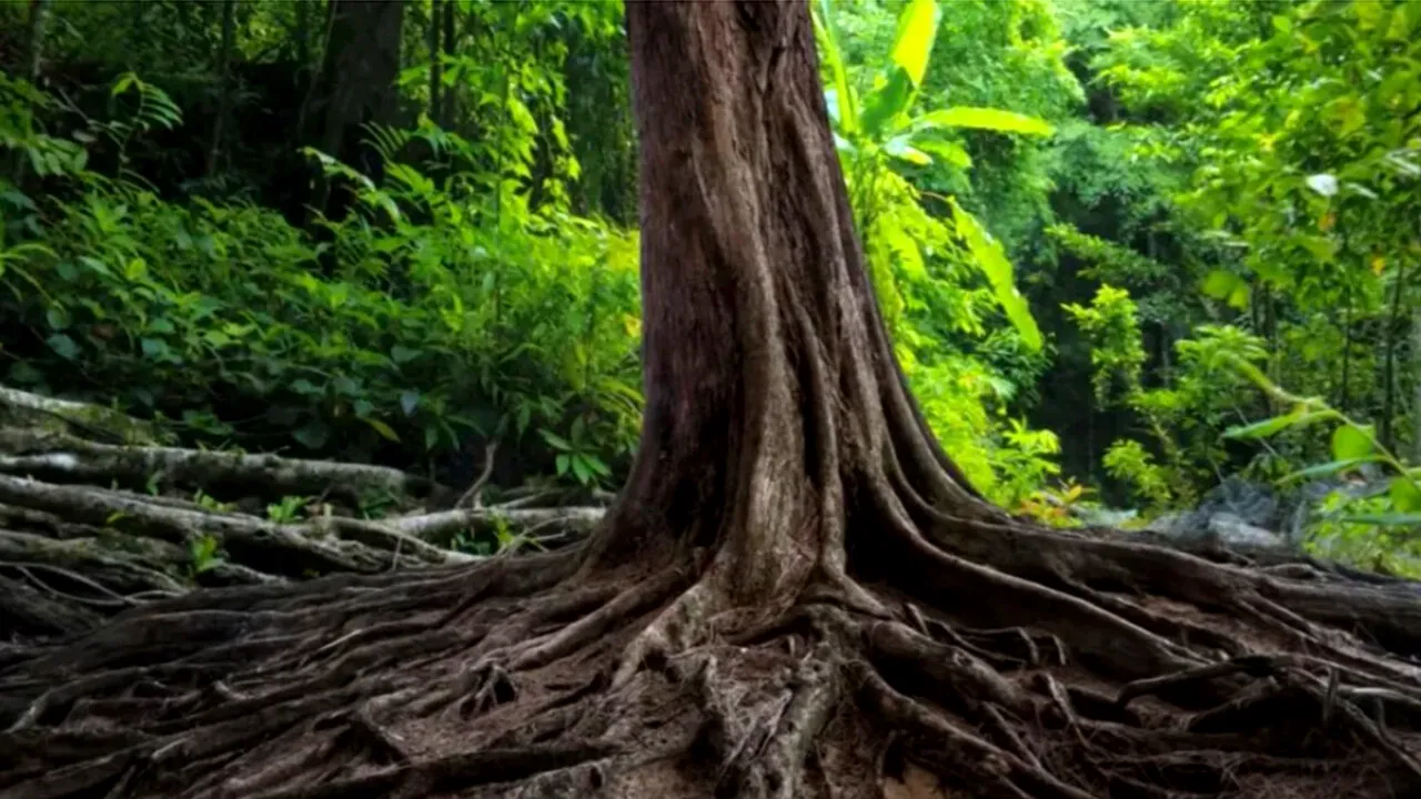 Iluzie optică pentru cei cu IQ ridicat | Poți găsi șarpele în poza asta? Doar 1% îl văd în maximum 5 secunde