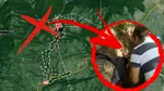 Care este cea mai mare comoară descoperită cu detectorul de metale, în România. Are 55 kg și a fost evaluată la 500.000 euro