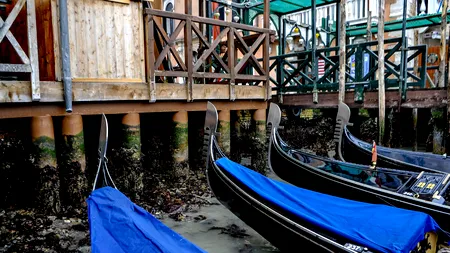 Plimbare ieftină cu gondola, cea mai nouă atracție pentru turiștii din Veneția. Poate COSTA doar 2 euro, în loc să plătești între 80 și 120 de euro