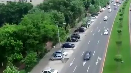 Aproximativ 9 milioane de lei pentru Întreținerea Arborilor București. Ce utilaje intenționează să achiziționeze compania municipală
