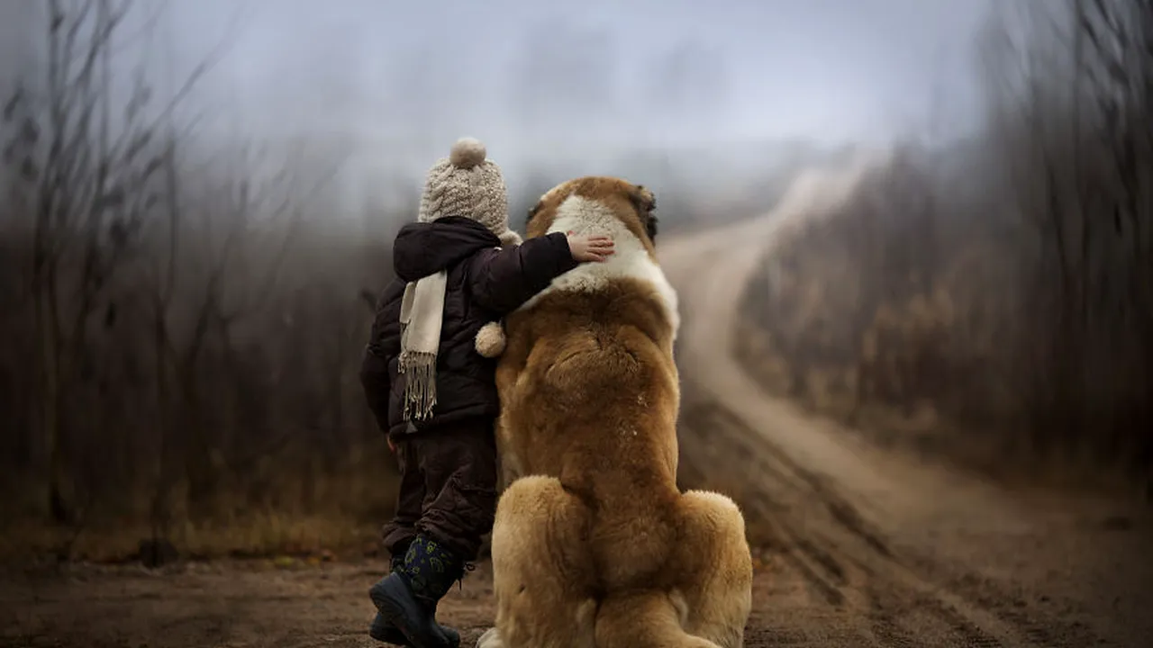 Povestea din spatele acestei imagini devenite viral