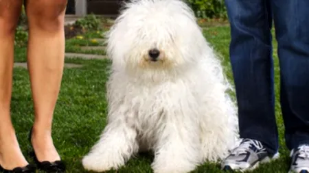 Ce surpriză le-a pregătit Mark Zuckerberg prietenilor săi