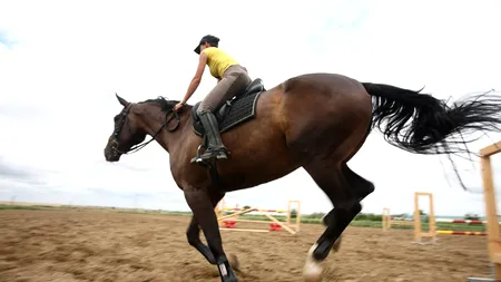 Tragedie la un centru de echitație din Ciorogârla. Un copil a murit după ce a suferit un accident în timp ce călărea un cal