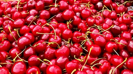 Ce se întâmplă dacă înghiţiţi sâmburi de cireşe. Sunt extrem de toxici