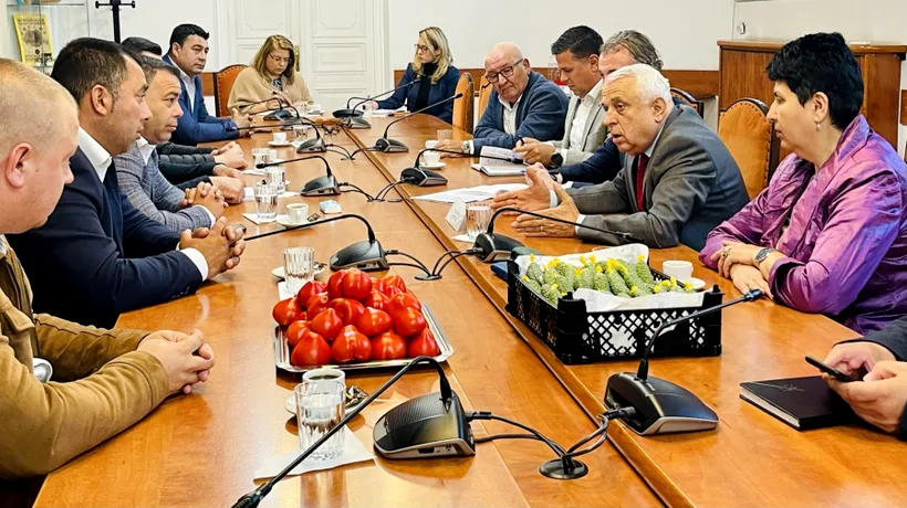 Ministerul Agriculturii: A fost FINALIZAT proiectul de achiziție pentru legumele și fructele pe care Casa de Comerț le va prelua de la cooperative