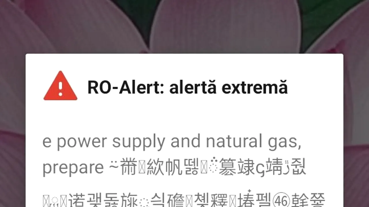 Un bărbat din Cluj a primit mesaj Ro-Alert de furtună în limba chineză. Ce scria, de fapt