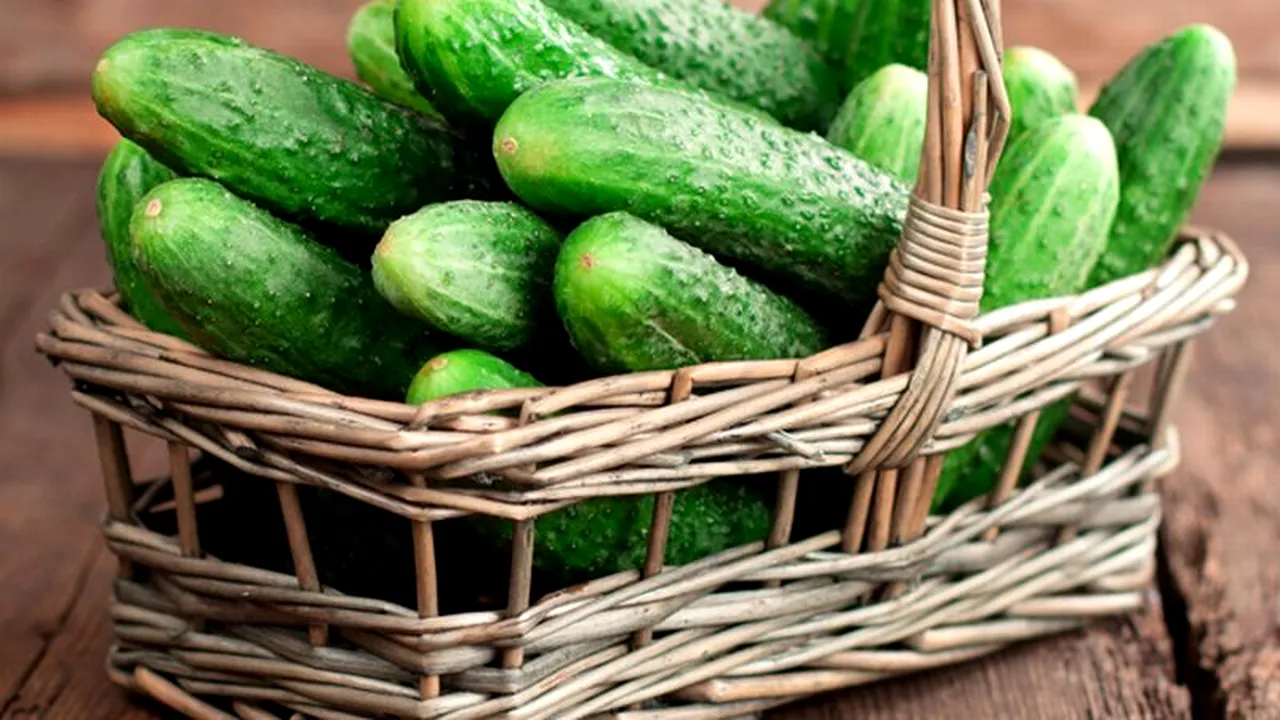 Rețeta din caietul bunicii: castraveți de vară în saramură, un adevărat deliciu