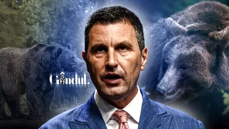 Senatul a adoptat dublarea cotei de vânătoare la ursul brun. Tanczos Barna: „În perioada 2026-2027 vor putea fi recoltați anual 859 de urși bruni”