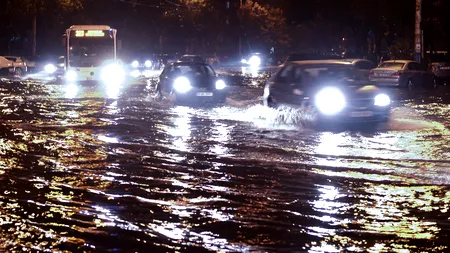 Cea mai PLOIOASĂ vară din ultimii 8 ani. Există zone din Bărăgan și Dobrogea afectate de SECETĂ