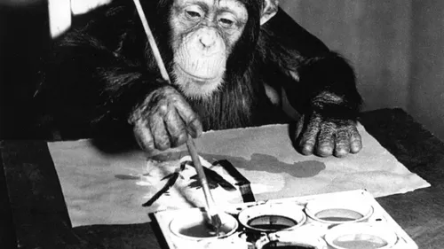 Cincizeci și cinci de picturi realizate de cimpanzeul Congo vor fi vândute. Cea mai scumpă costă 7.400 de dolari