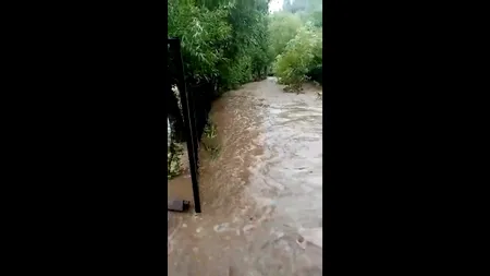 Primarul din Moeciu, înregistrat în timp ce jignea o localnică: ”Ești o proastă și o tâmpită!” (VIDEO)