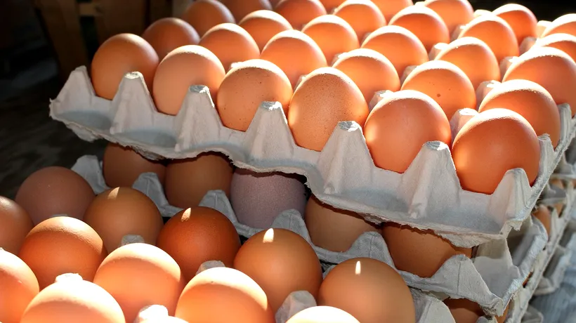 Alertă alimentară în România, după ce sute de mii de ouă cu origine falsificată au fost vândute de o reţea activă în mai multe state din UE