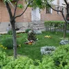 <span style='background-color: #dd9933; color: #fff; ' class='highlight text-uppercase'>ACTUALITATE</span> Pensionară din Brașov, AMENDATĂ pentru că a plantat flori în spatele blocului. „Este anormal ce se întâmplă”