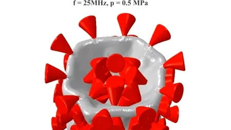 Ecografia, noul tratament împotriva COVID-19? Un nou studiu arată cum învelișul virusului este distrus de ultrasunete - VIDEO